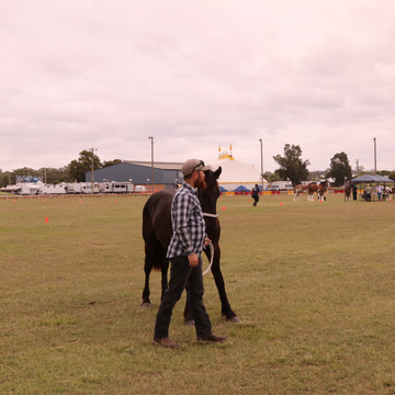 Ajax & Ajani at Cessnock Show