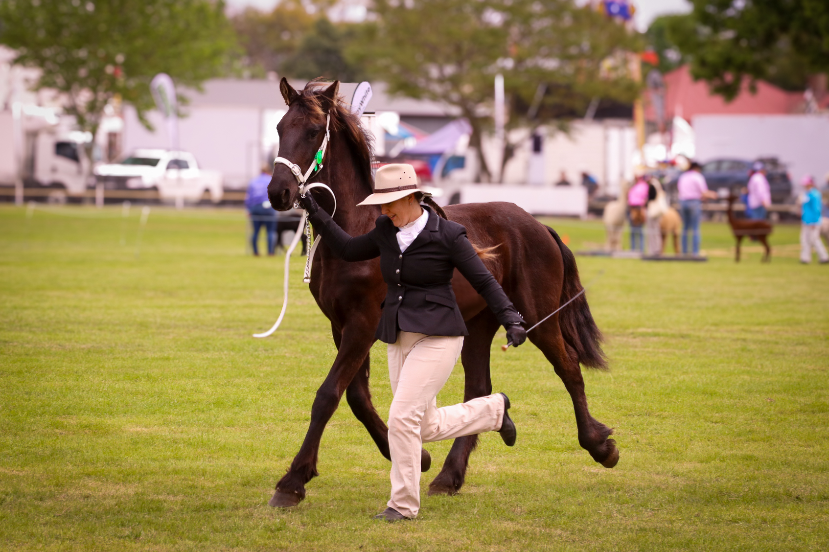 Ajax of Roselee