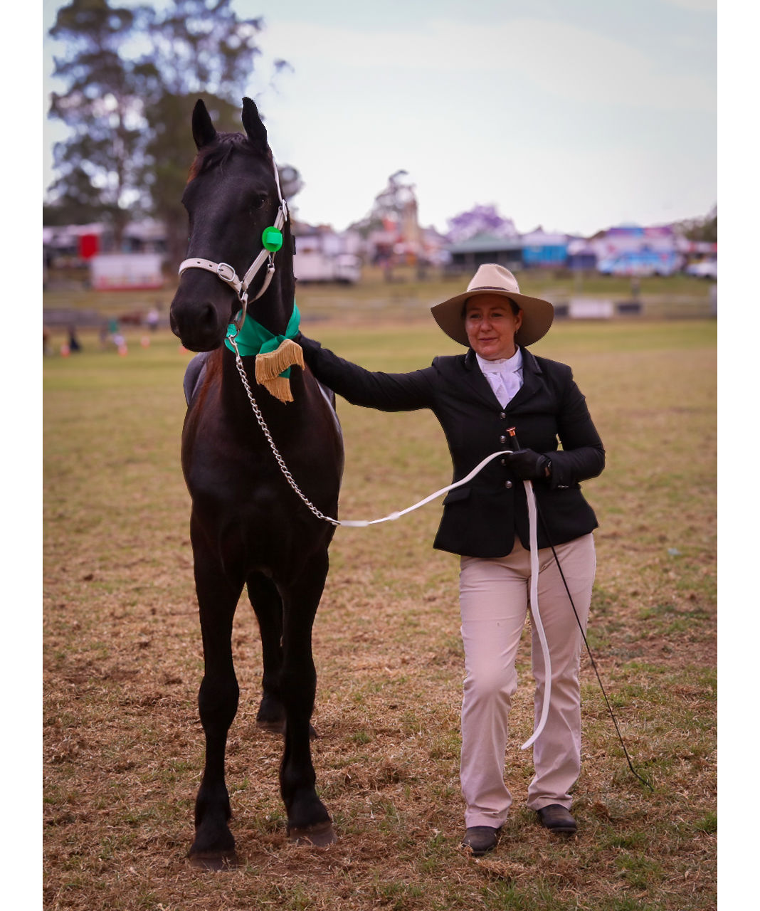 Ajani stepping out for his first solo show adventure at the Dungog Show — earning two Firsts and two Reserve Champion awards.